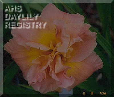Schmucker Brothers AHS image