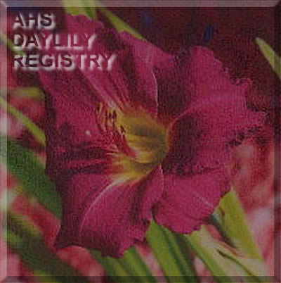 Lindsay Ann AHS image
