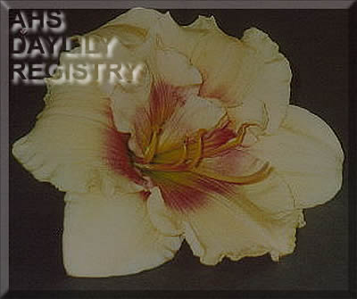 Minton Girls AHS image