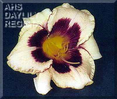 Marilyn Brandenberger AHS image