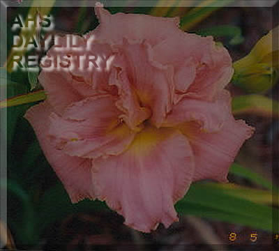 Gass Sisters AHS image
