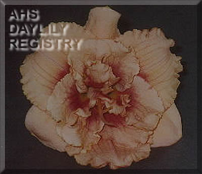 Bryant M. and Don K. AHS image