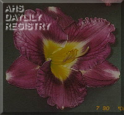 Wendell Sego AHS image