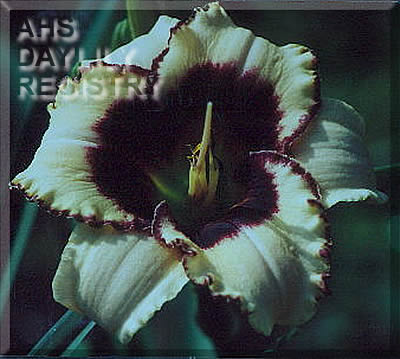 Julie Foster AHS image