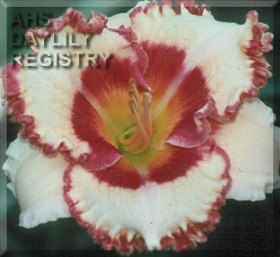Champagne Cruise AHS image