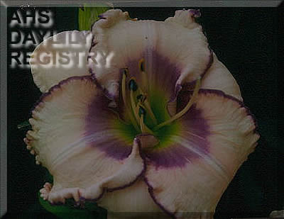 Marty Welch AHS image