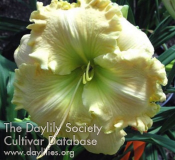 Victorian Garden Secret Weapon AHS image
