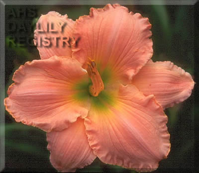 Sagamore Bert M. Goldwater AHS image