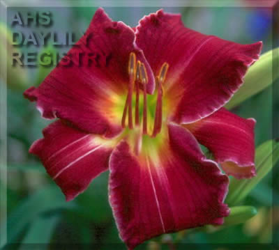 Sagamore Paco AHS image