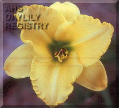 Sagamore Gramma's Little Angels AHS image