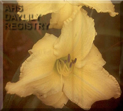 Sagamore Hill-Wells AHS image