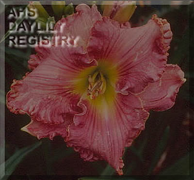 Gloat AHS image