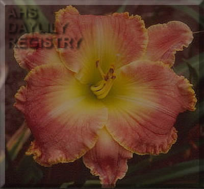 Day Before Tomorrow AHS image