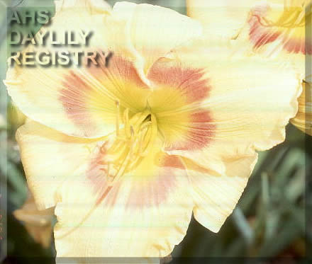 Bee's Charles Applegate AHS image