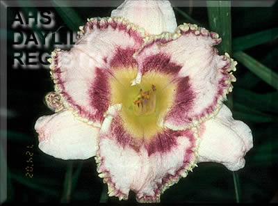 Bee's Edwin Downie AHS image