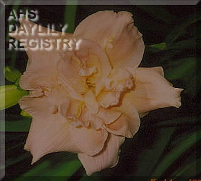 Double Souffle Magic AHS image