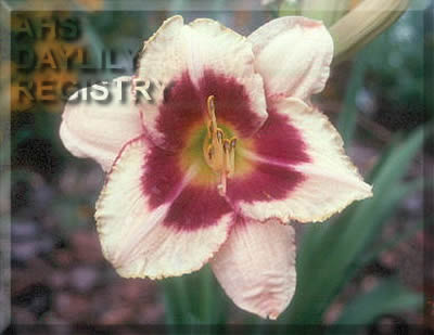 Encantada AHS image