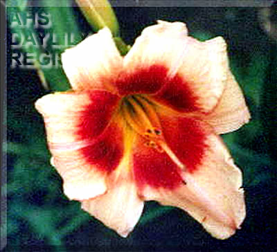 Jerzy Zygalski AHS image