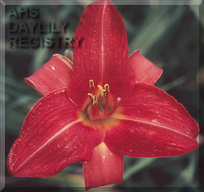 Don Wood AHS image