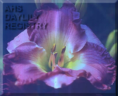 Carolina Twilight AHS image