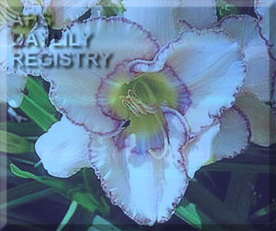 Lanny Morry AHS image