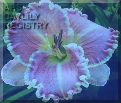 Linda Chaffee AHS image