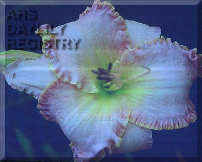 Pat Wessling AHS image