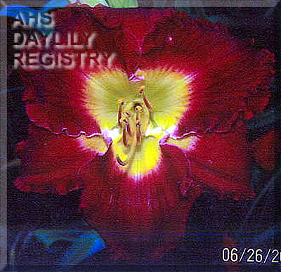 Tempting the Devil AHS image