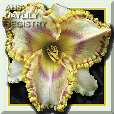 Irresistible Rainbow AHS image
