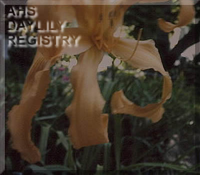 Oops Another Miracle AHS image
