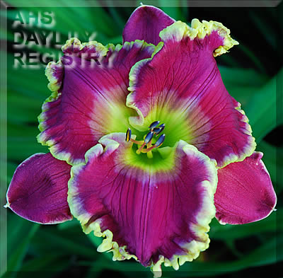 Green Revolution AHS image