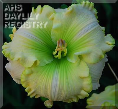 Going Green AHS image