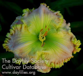 Verdant Spring AHS image