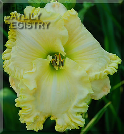 Dixie Highway AHS image