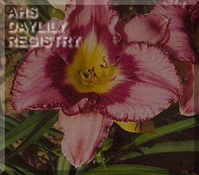 June Kiyoko AHS image