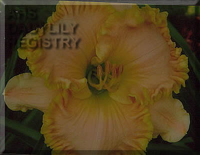 Rich Blessings AHS image