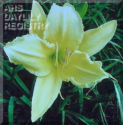 The Bells of Praise AHS image