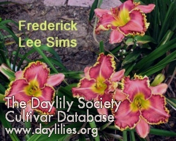 Frederick Lee Sims AHS image