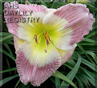 Mapping Ohio AHS image