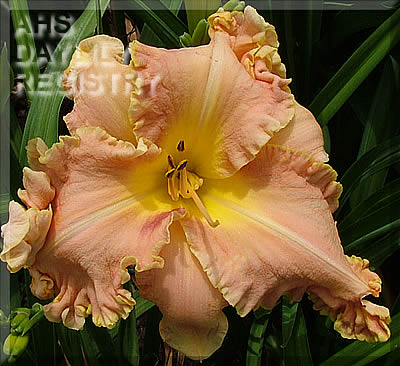 Lake Wobegon AHS image