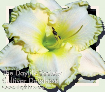 Playa Blanca AHS image