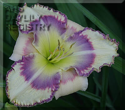 Growing in Grace AHS image