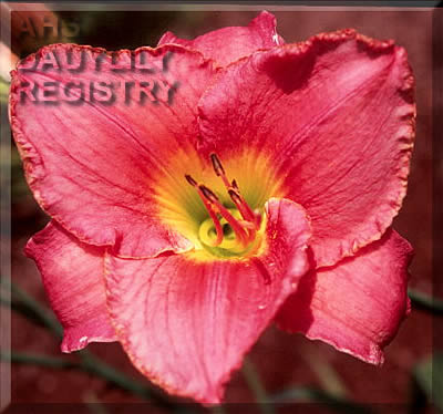 Sagamore Barney Frank AHS image