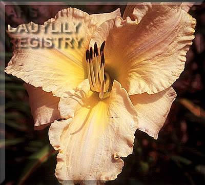 Sagamore Eugenia AHS image