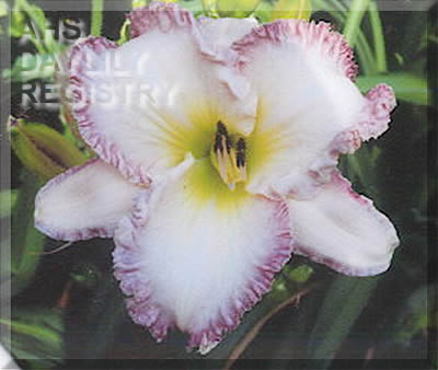 Pacific Coast AHS image