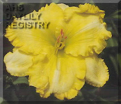Sunday Sunshine AHS image