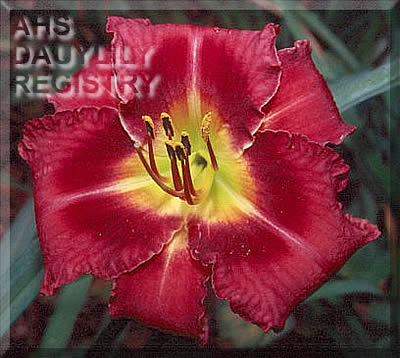 Miss Jenny Lea AHS image