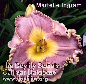 Martelle Cook Ingram AHS image