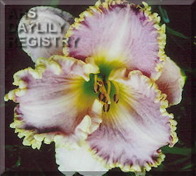 Martha's Goodness AHS image