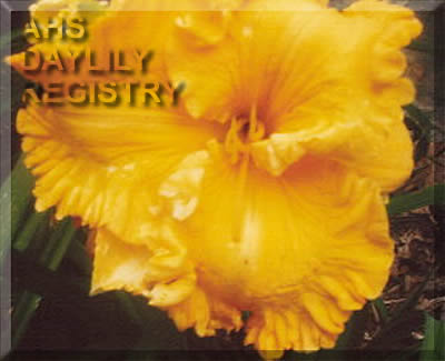David Dailey AHS image